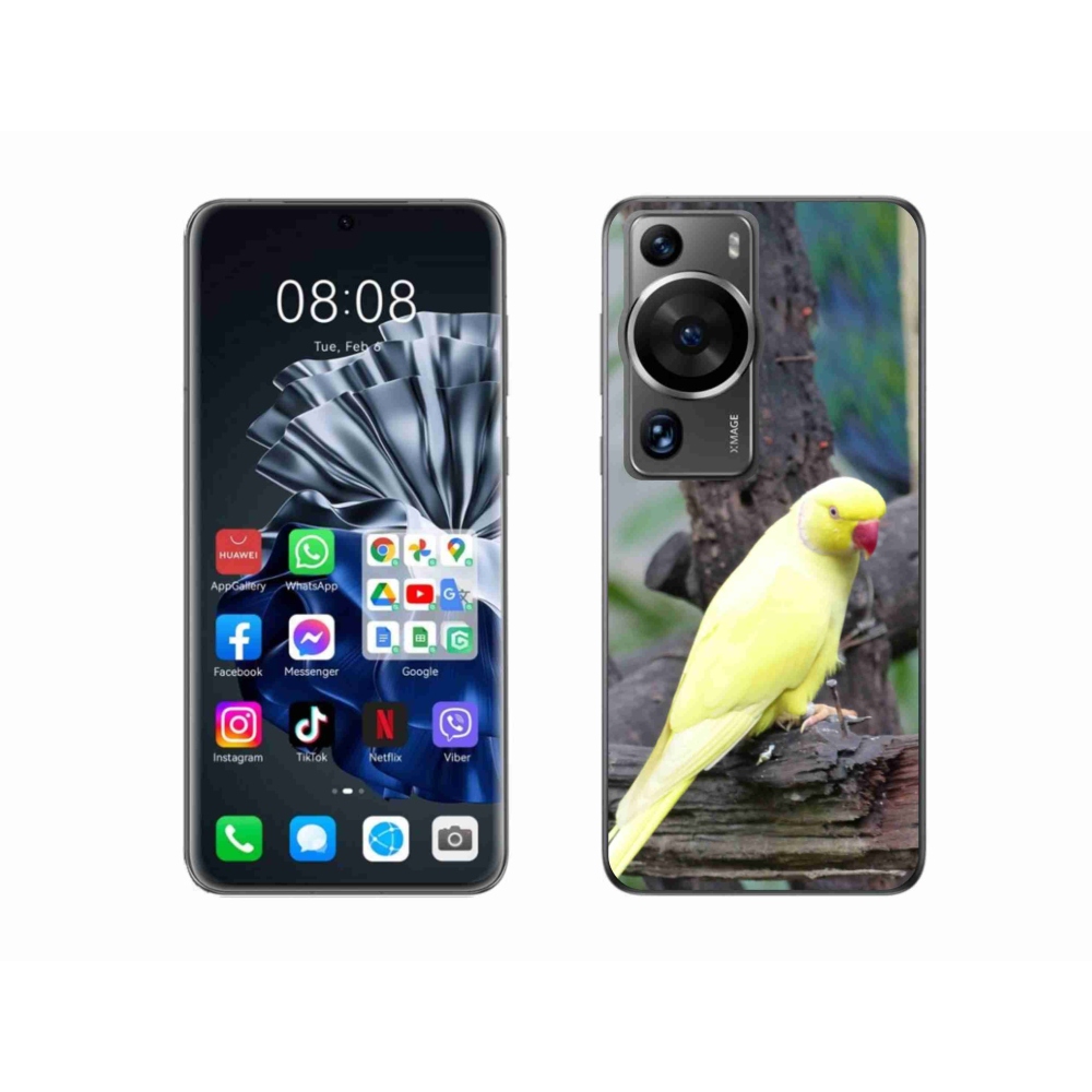 Gélový kryt mmCase na Huawei P60 Pro - papagáj alexander žltý