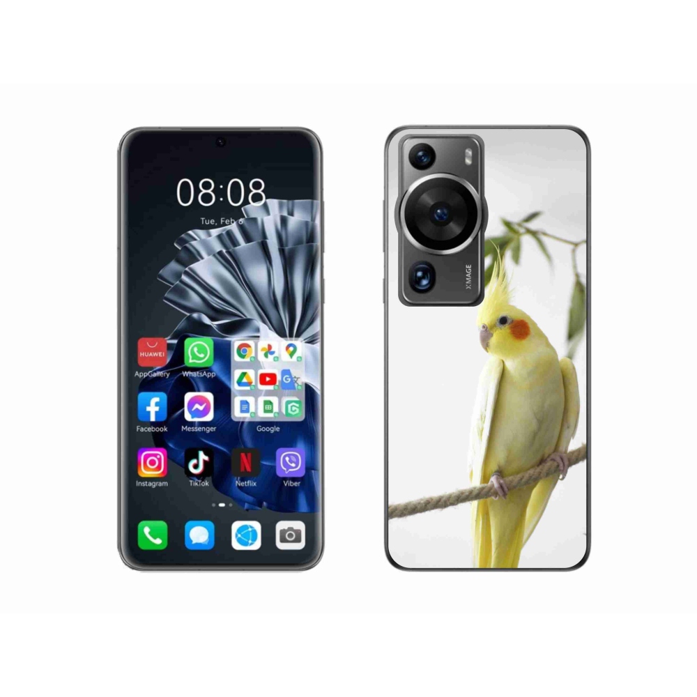 Gélový kryt mmCase na Huawei P60 Pro - papagáj korela chocholatá