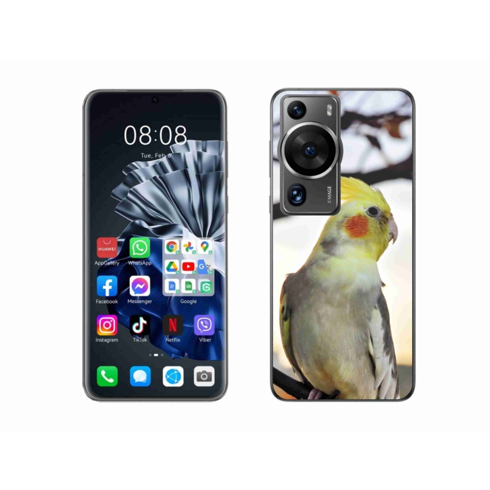Gélový kryt mmCase na Huawei P60 Pro - papagáj korela