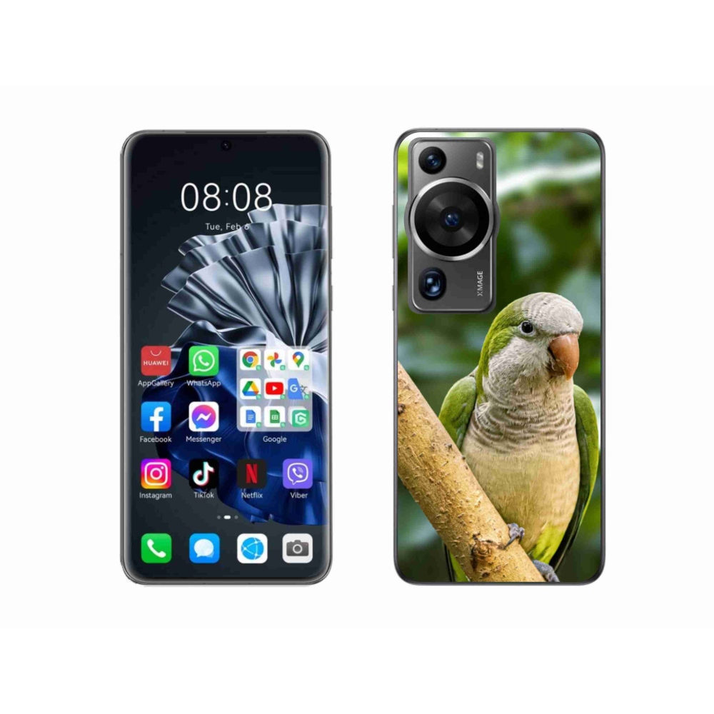 Gélový kryt mmCase na Huawei P60 Pro - papagáj mníšok
