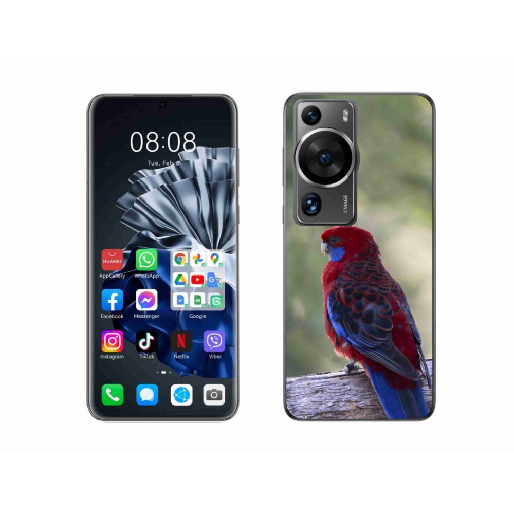 Gélový kryt mmCase na Huawei P60 Pro - papagáj rosela