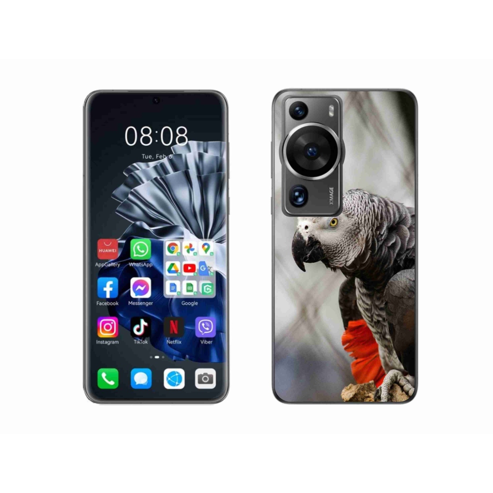 Gélový kryt mmCase na Huawei P60 Pro - papagáj žako 3
