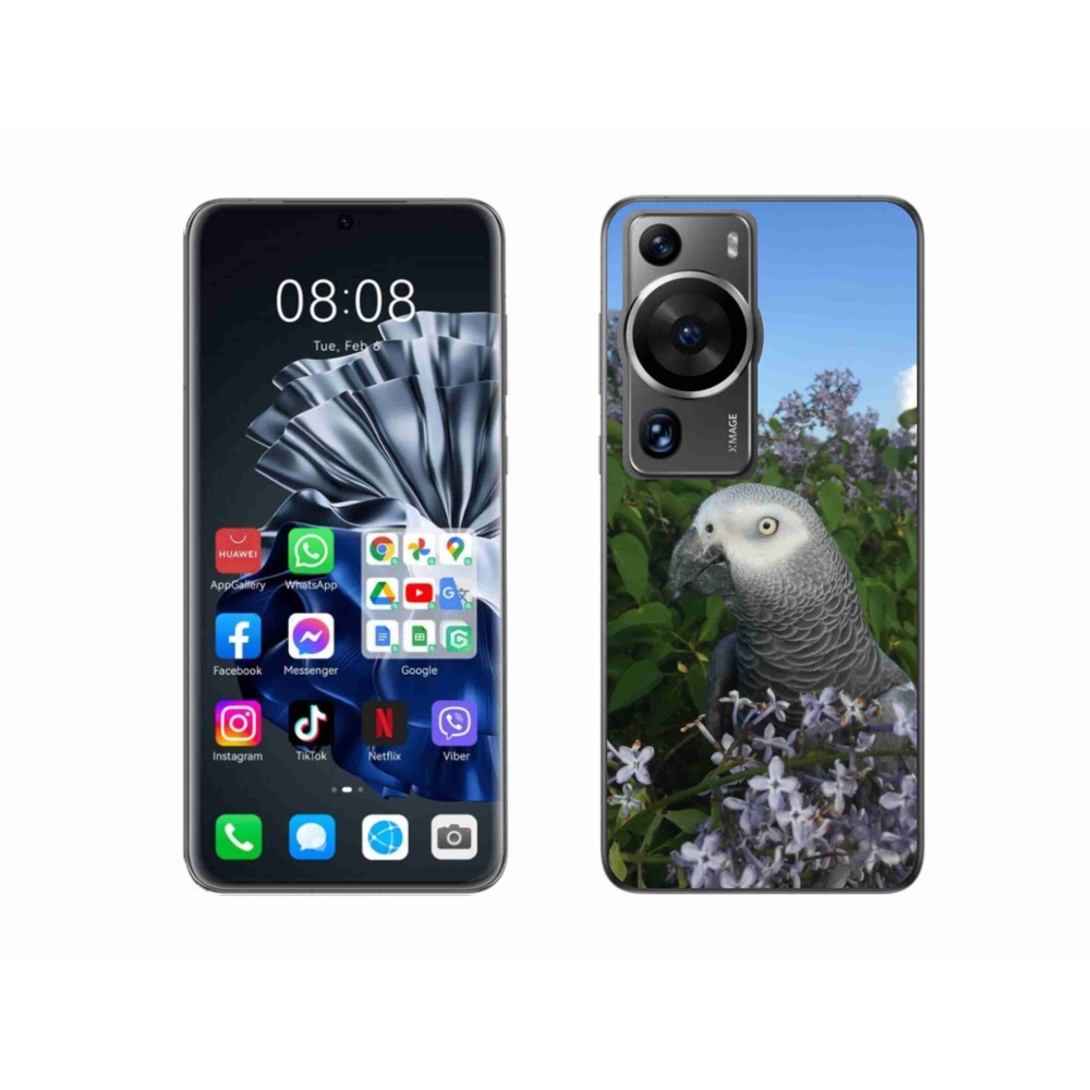 Gélový kryt mmCase na Huawei P60 Pro - papagáj žako