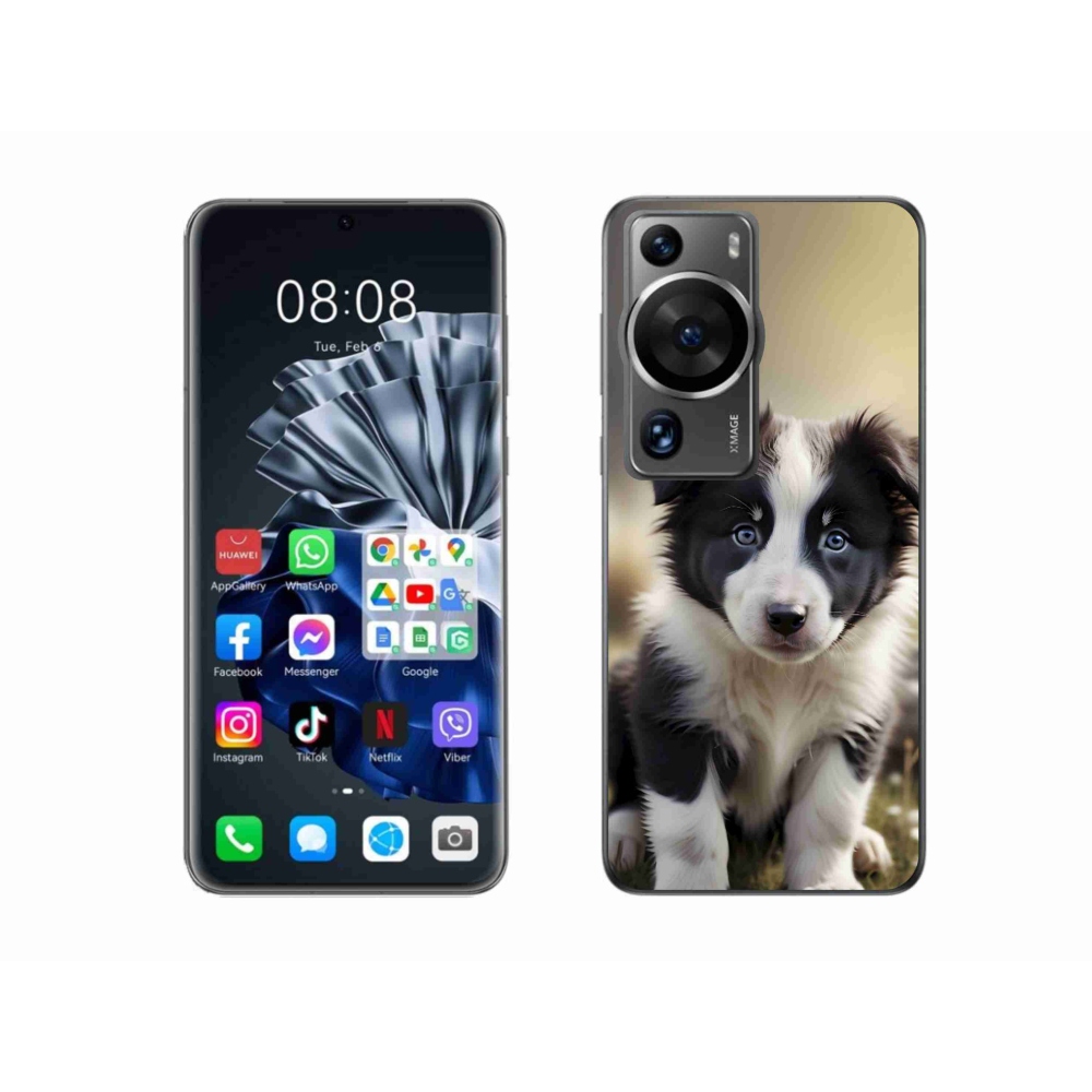 Gélový kryt mmCase na Huawei P60 Pro - roztomilá border kólia