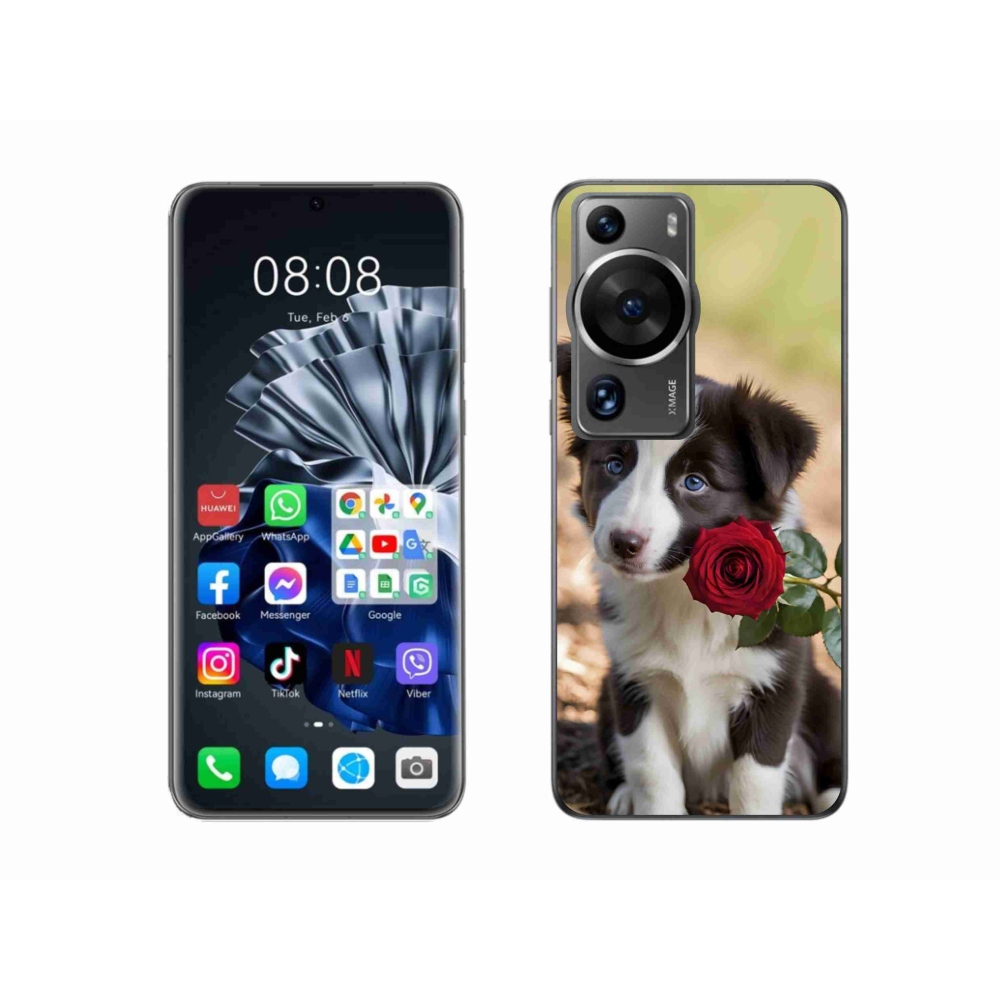 Gélový kryt mmCase na Huawei P60 Pro - roztomilá border kólia s ružou