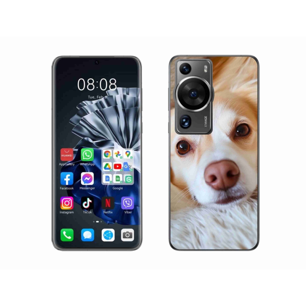 Gélový kryt mmCase na Huawei P60 Pro - Roztomilá čivava