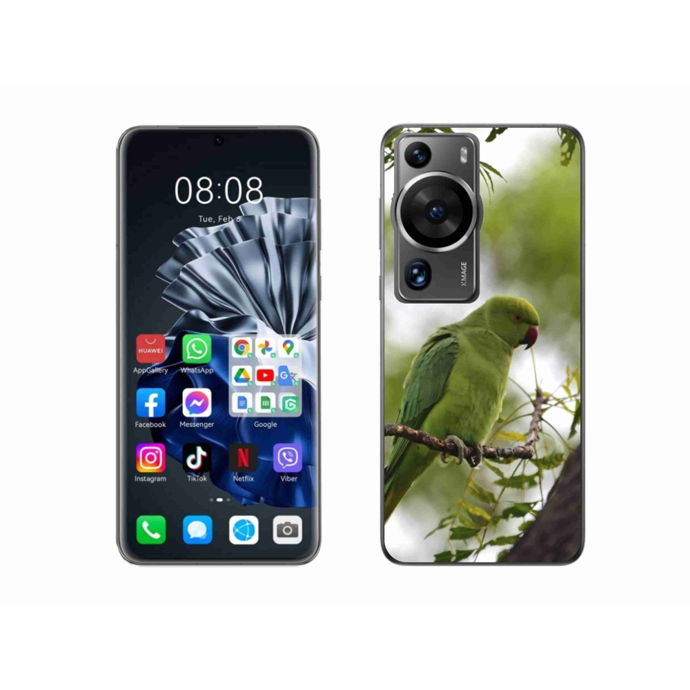 Gélový kryt mmCase na Huawei P60 Pro - zelený papagáj