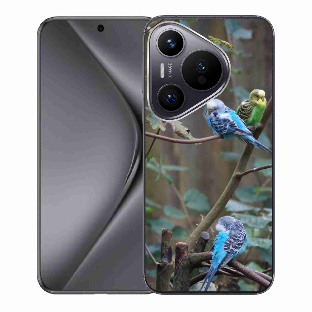 Gélový kryt mmCase na Huawei Pura 70 - papagáje na vetve