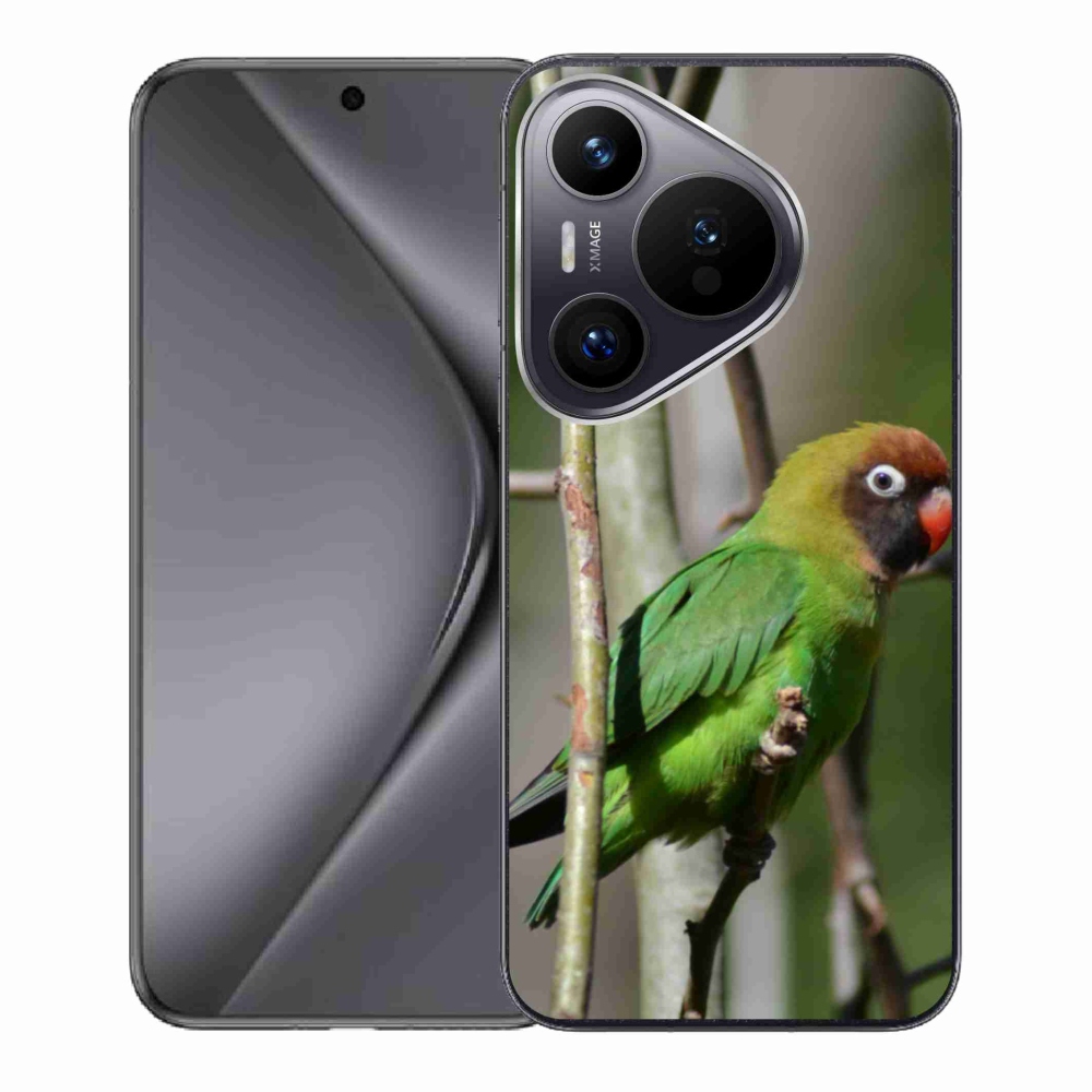 Gélový kryt mmCase na Huawei Pura 70 - papagáj agapornis