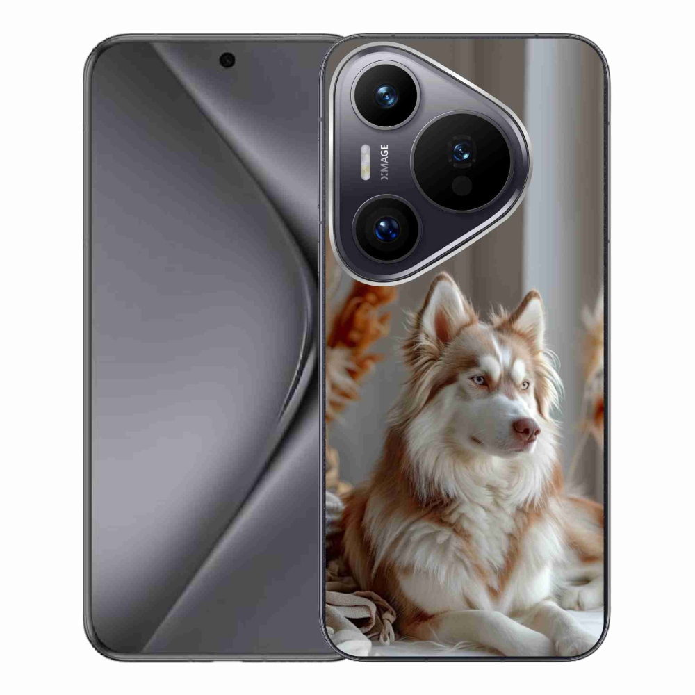 Gélový kryt mmCase na Huawei Pura 70 Pro - pokojný sibírsky husky
