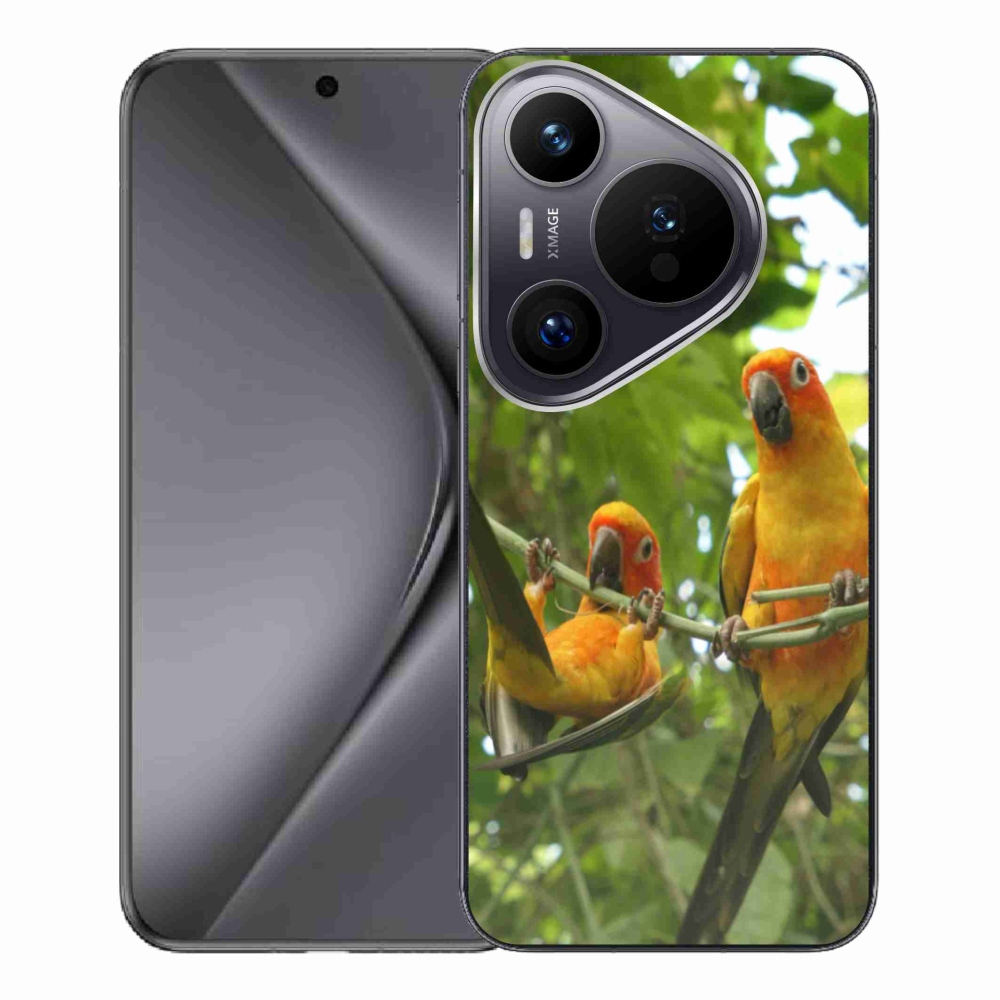 Gélový kryt mmCase na Huawei Pura 70 Pro - papagáje aratingy