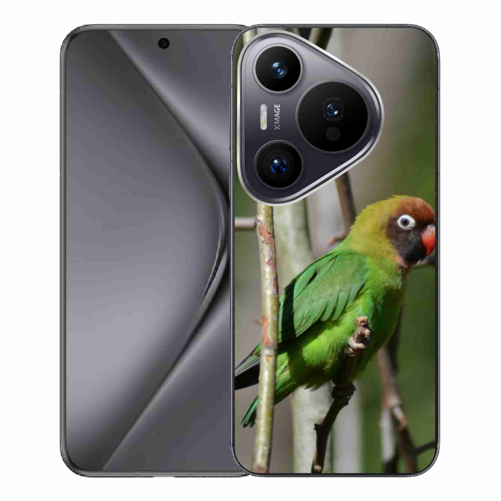 Gélový kryt mmCase na Huawei Pura 70 Pro - papagáj agapornis