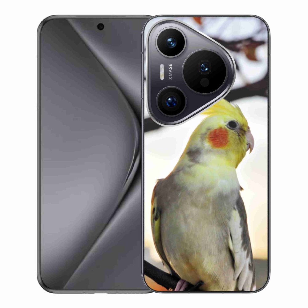 Gélový kryt mmCase na Huawei Pura 70 Pro - papagáj korela