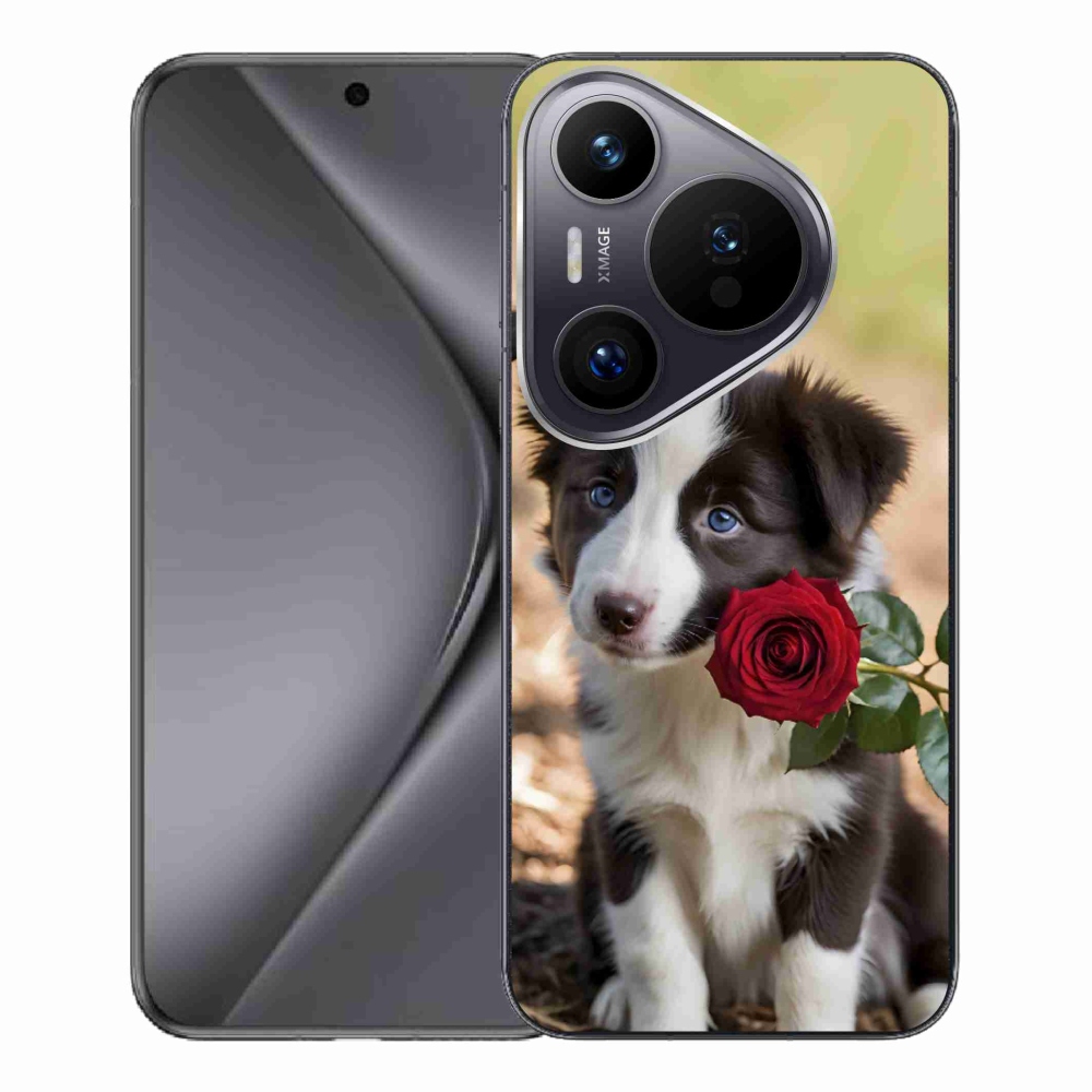 Gélový kryt mmCase na Huawei Pura 70 Pro - roztomilá border kólia s ružou