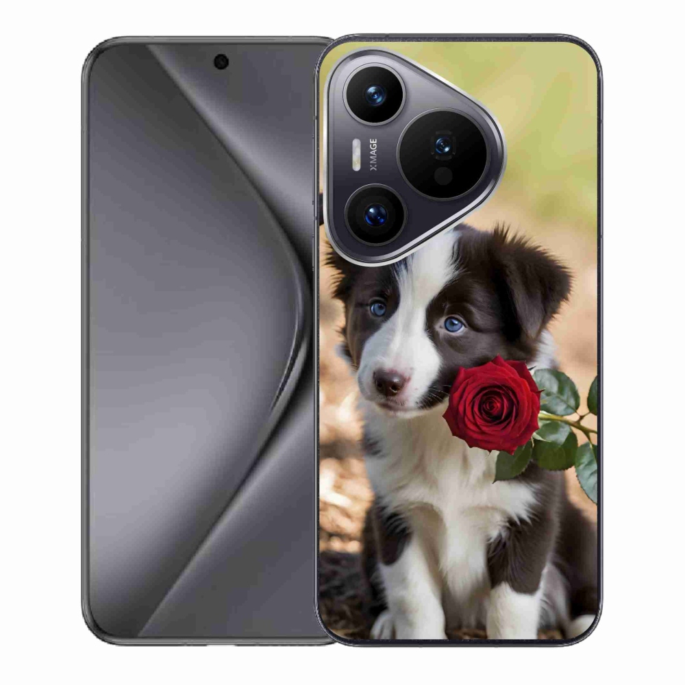 Gélový kryt mmCase na Huawei Pura 70 - roztomilá border kólia s ružou