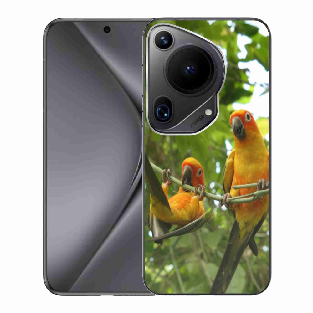 Gélový kryt mmCase na Huawei Pura 70 Ultra - papagáje aratingy