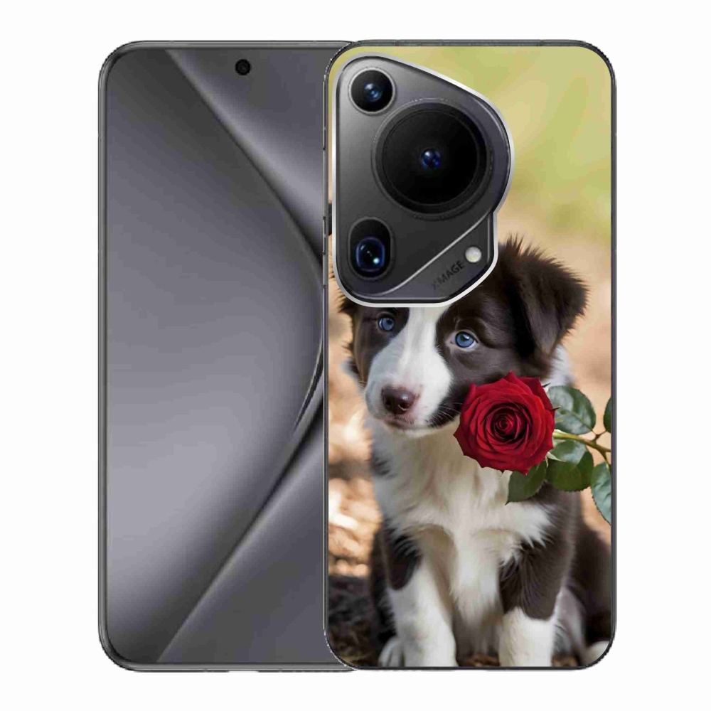 Gélový kryt mmCase na Huawei Pura 70 Ultra - roztomilá border kólia s ružou