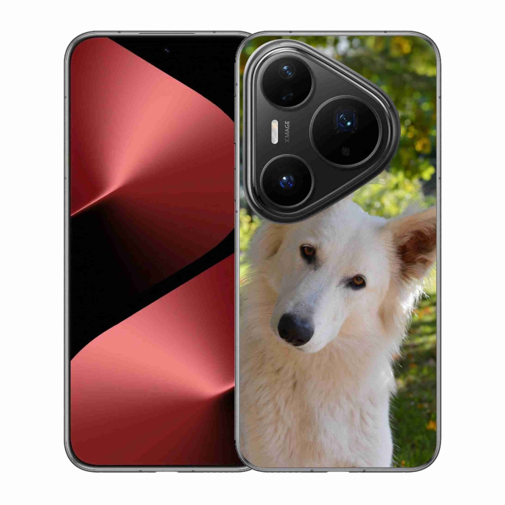 Gélový kryt mmCase na Huawei Pura 80 Pro - biely švajčiarsky ovčiak 1