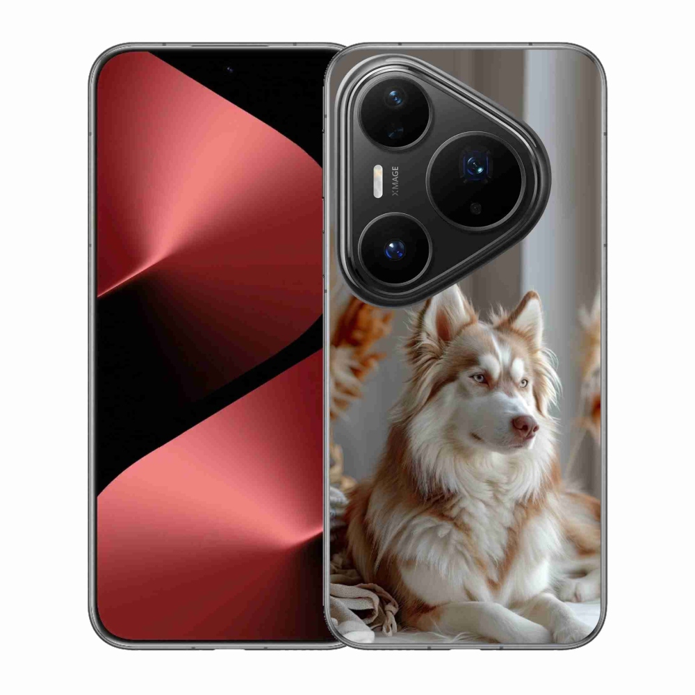 Gélový kryt mmCase na Huawei Pura 80 Pro - pokojný sibírsky husky