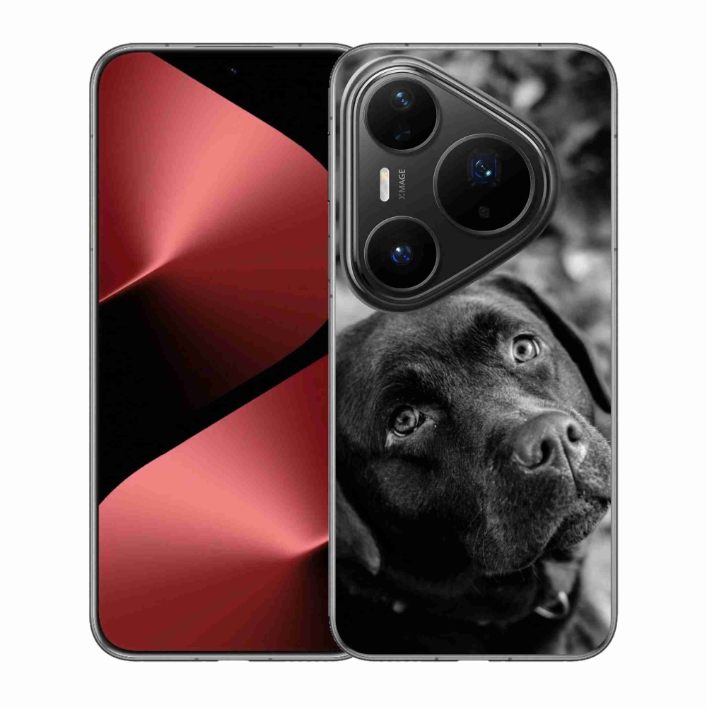 Gélový kryt mmCase na Huawei Pura 80 Pro - labrador