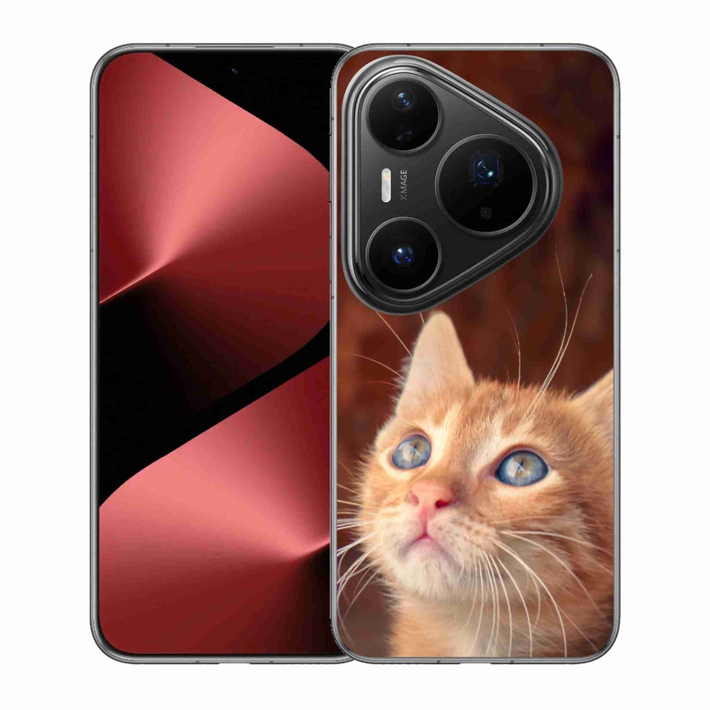 Gélový kryt mmCase na Huawei Pura 80 Pro - motýľ a mačiatko