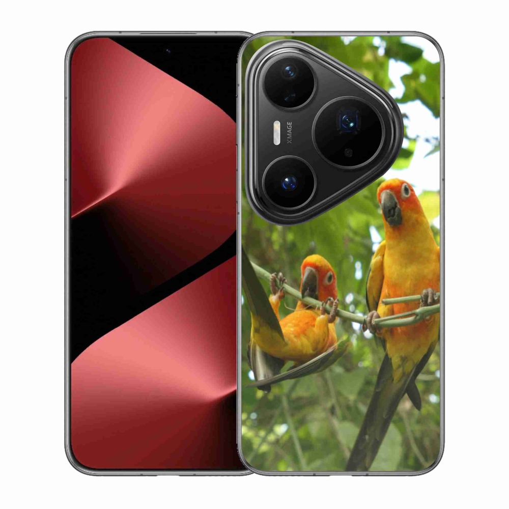 Gélový kryt mmCase na Huawei Pura 80 Pro - papagáje aratingy