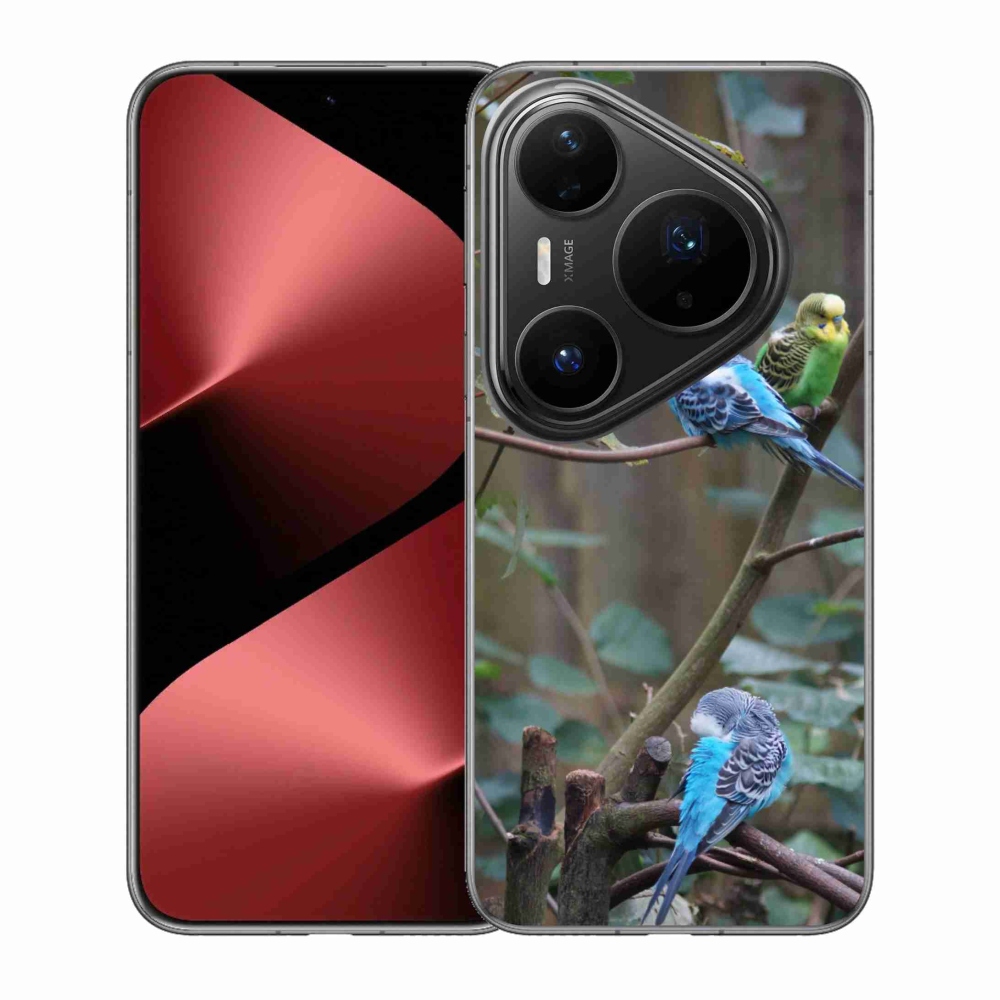 Gélový kryt mmCase na Huawei Pura 80 Pro - papagáje na vetve
