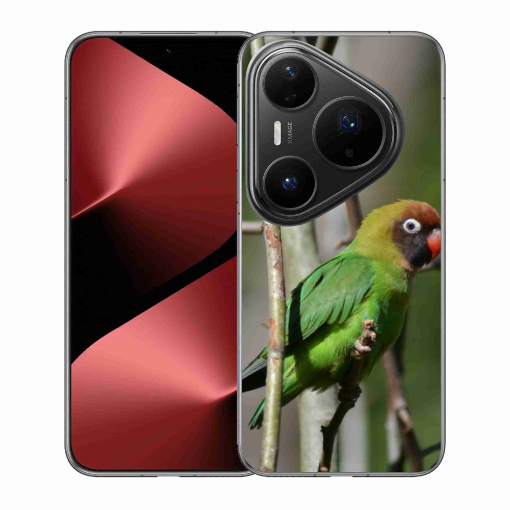 Gélový kryt mmCase na Huawei Pura 80 Pro - papagáj agapornis