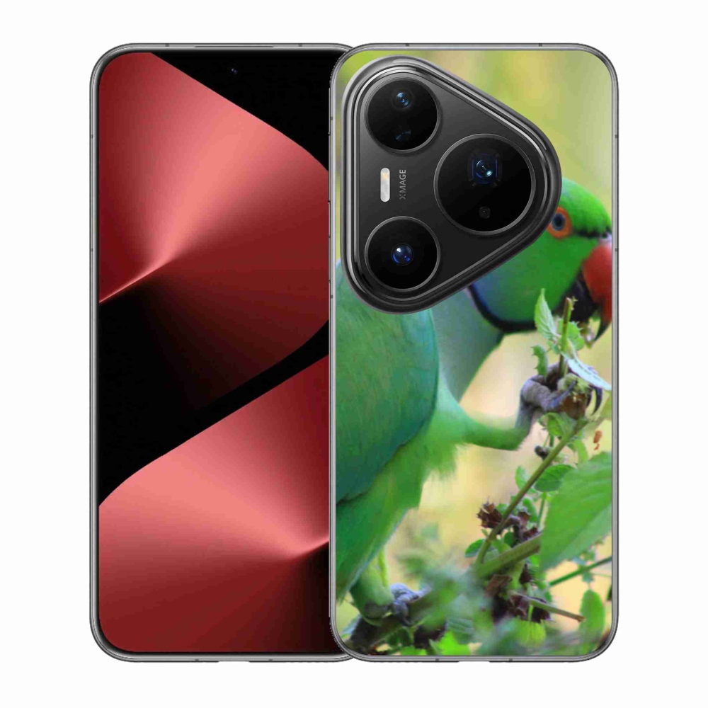 Gélový kryt mmCase na Huawei Pura 80 Pro - papagáj Alexandr