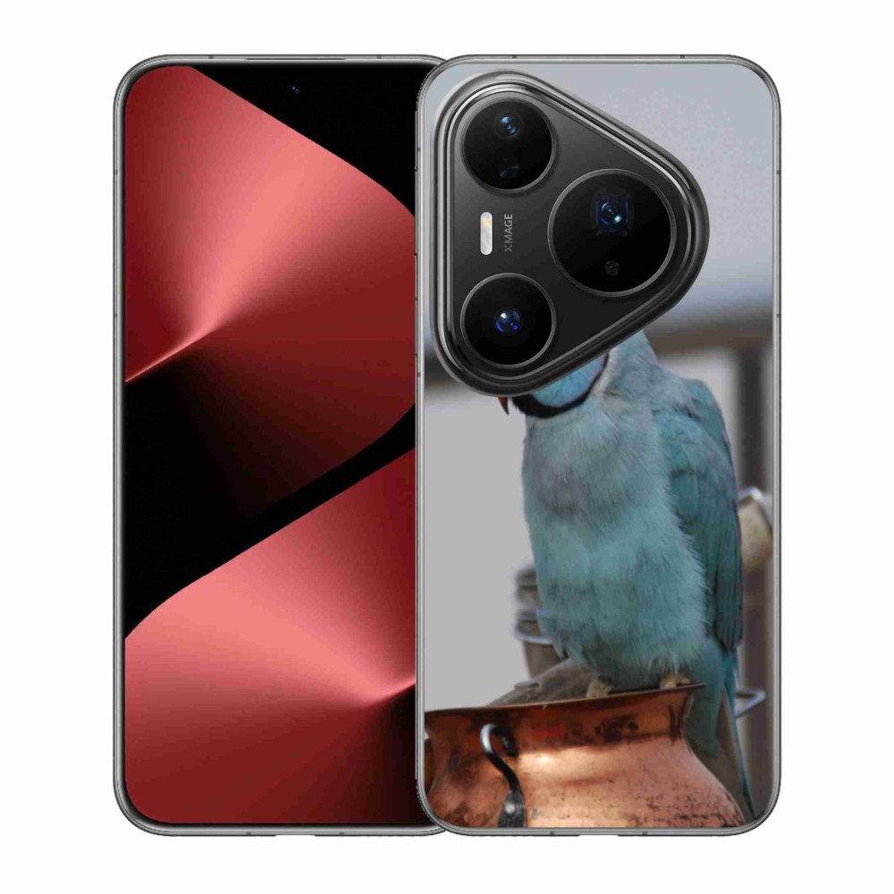 Gélový kryt mmCase na Huawei Pura 80 Pro - papagáj alexander modrý