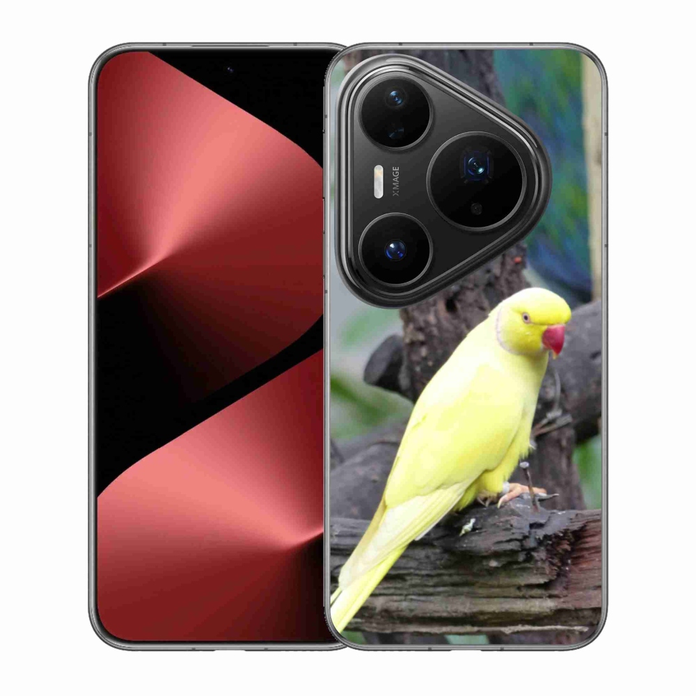 Gélový kryt mmCase na Huawei Pura 80 Pro - papagáj alexander žltý