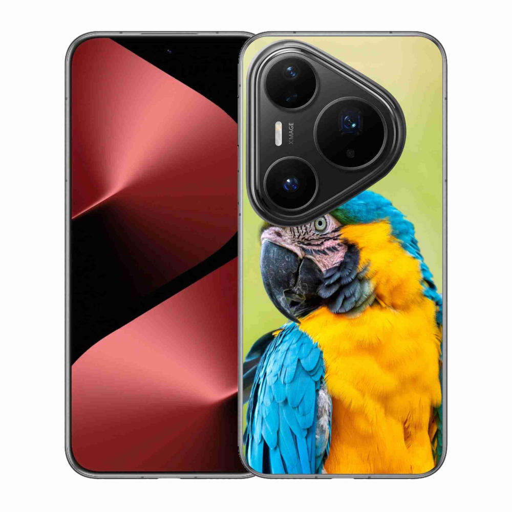 Gélový kryt mmCase na Huawei Pura 80 Pro - papagáj ara 2