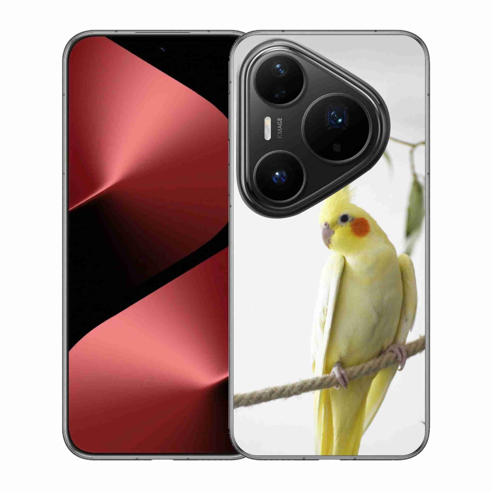 Gélový kryt mmCase na Huawei Pura 80 Pro - papagáj korela chocholatá