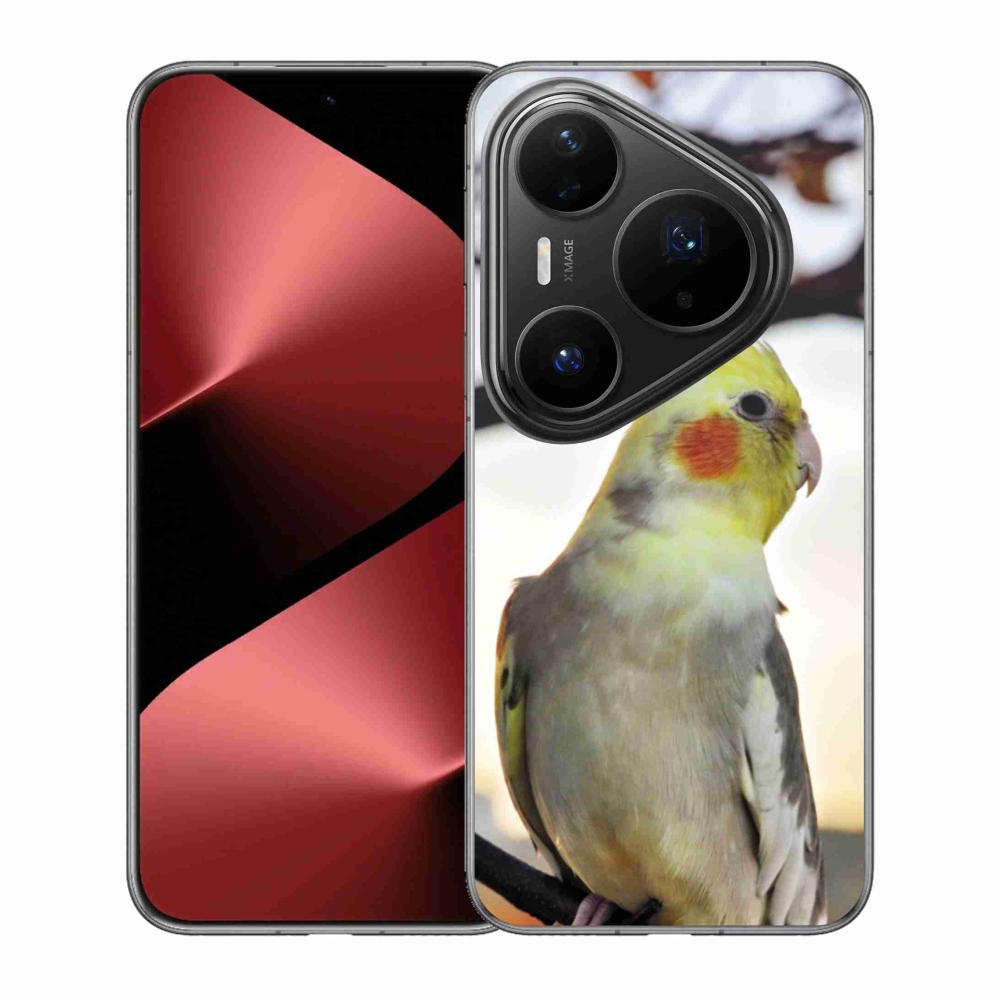Gélový kryt mmCase na Huawei Pura 80 Pro - papagáj korela