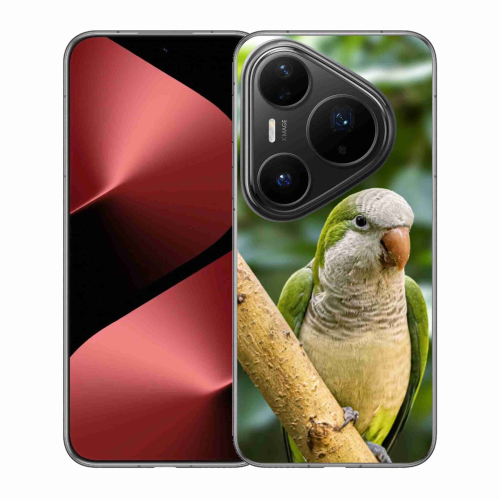 Gélový kryt mmCase na Huawei Pura 80 Pro - papagáj mníšok
