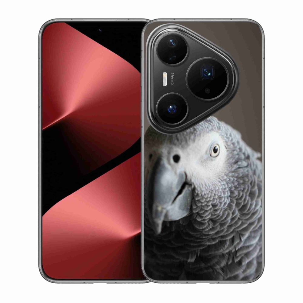 Gélový kryt mmCase na Huawei Pura 80 Pro - papagáj žako 2