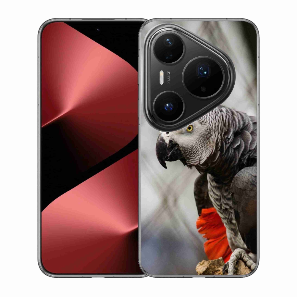Gélový kryt mmCase na Huawei Pura 80 Pro - papagáj žako 3