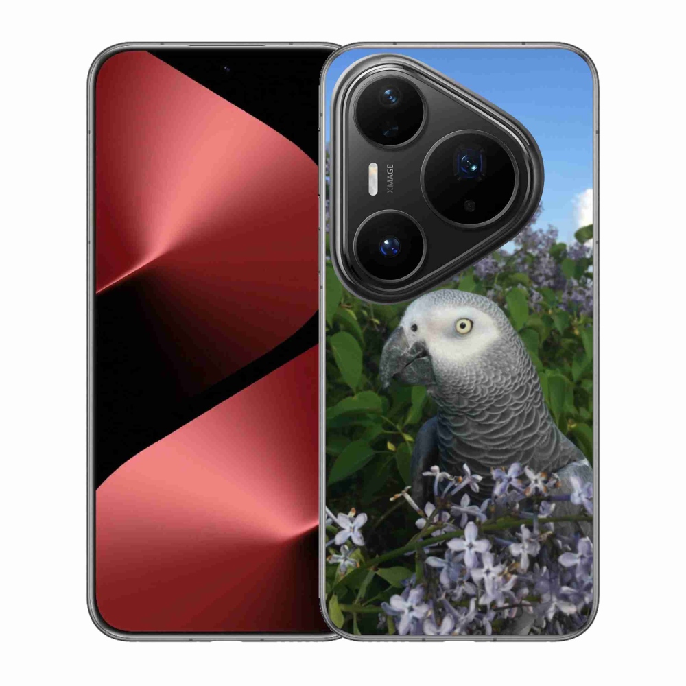 Gélový kryt mmCase na Huawei Pura 80 Pro - papagáj žako
