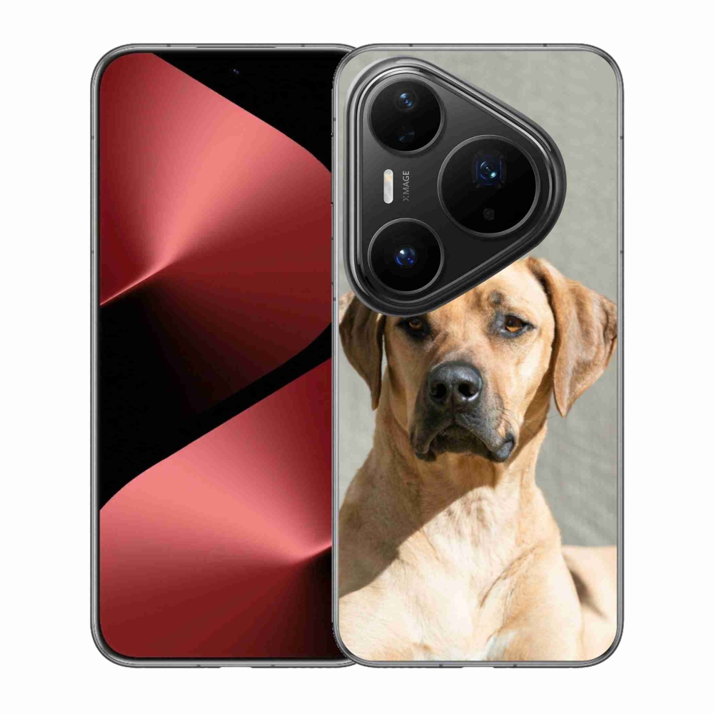 Gélový kryt mmCase na Huawei Pura 80 Pro - ridgeback