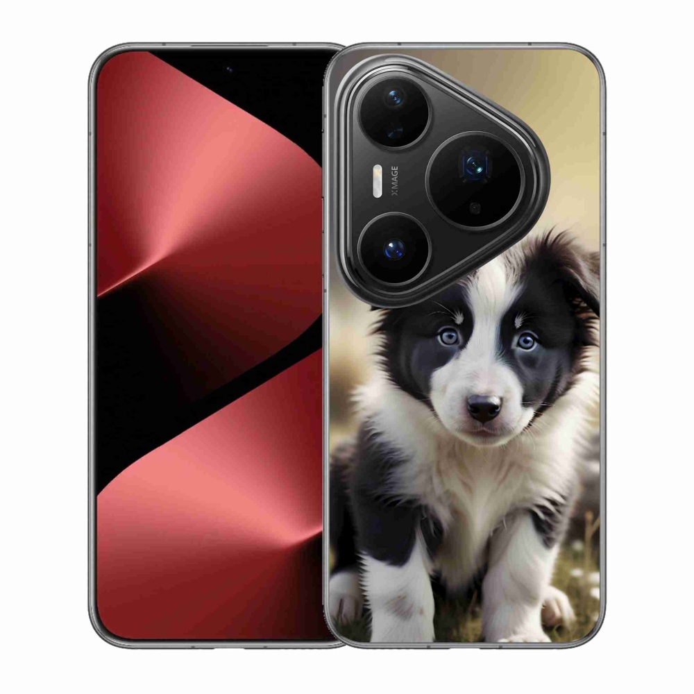 Gélový kryt mmCase na Huawei Pura 80 Pro - roztomilá border kólia