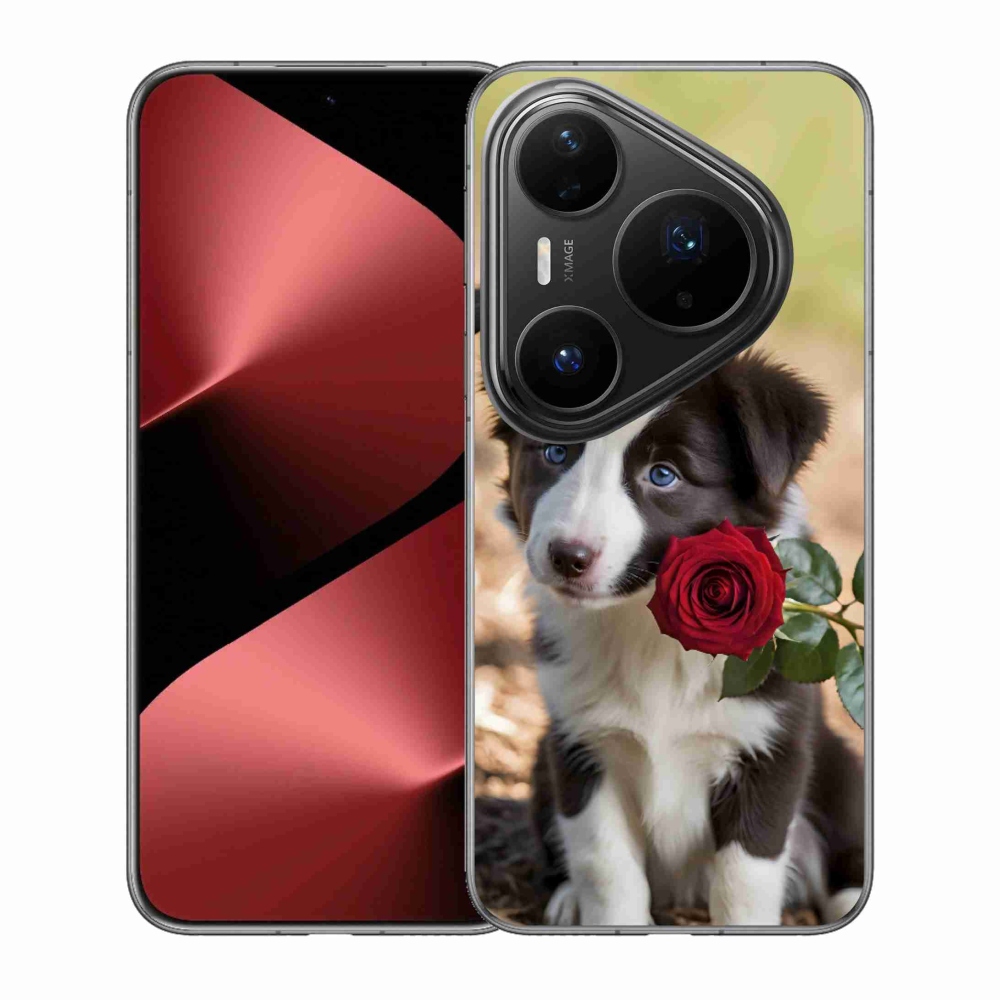 Gélový kryt mmCase na Huawei Pura 80 Pro - roztomilá border kólia s ružou
