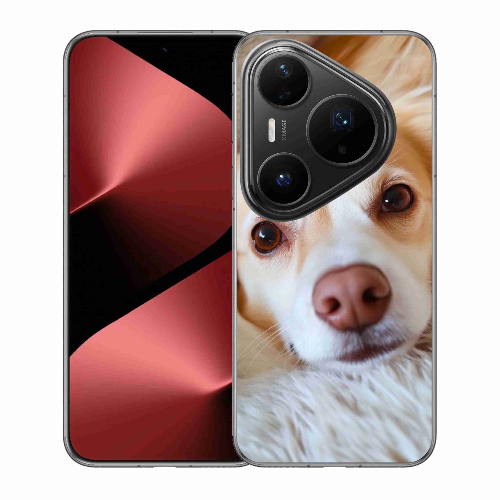 Gélový kryt mmCase na Huawei Pura 80 Pro - Roztomilá čivava