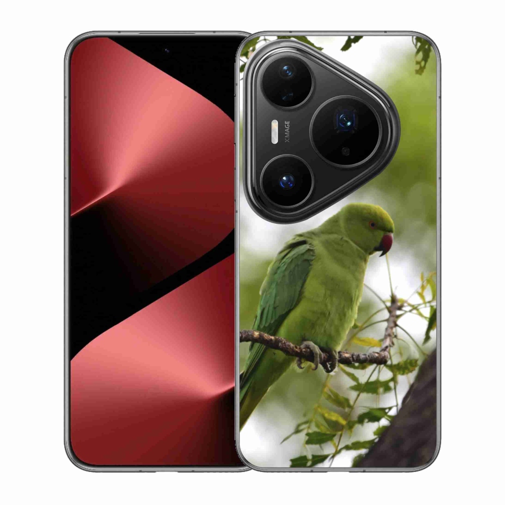 Gélový kryt mmCase na Huawei Pura 80 Pro - zelený papagáj