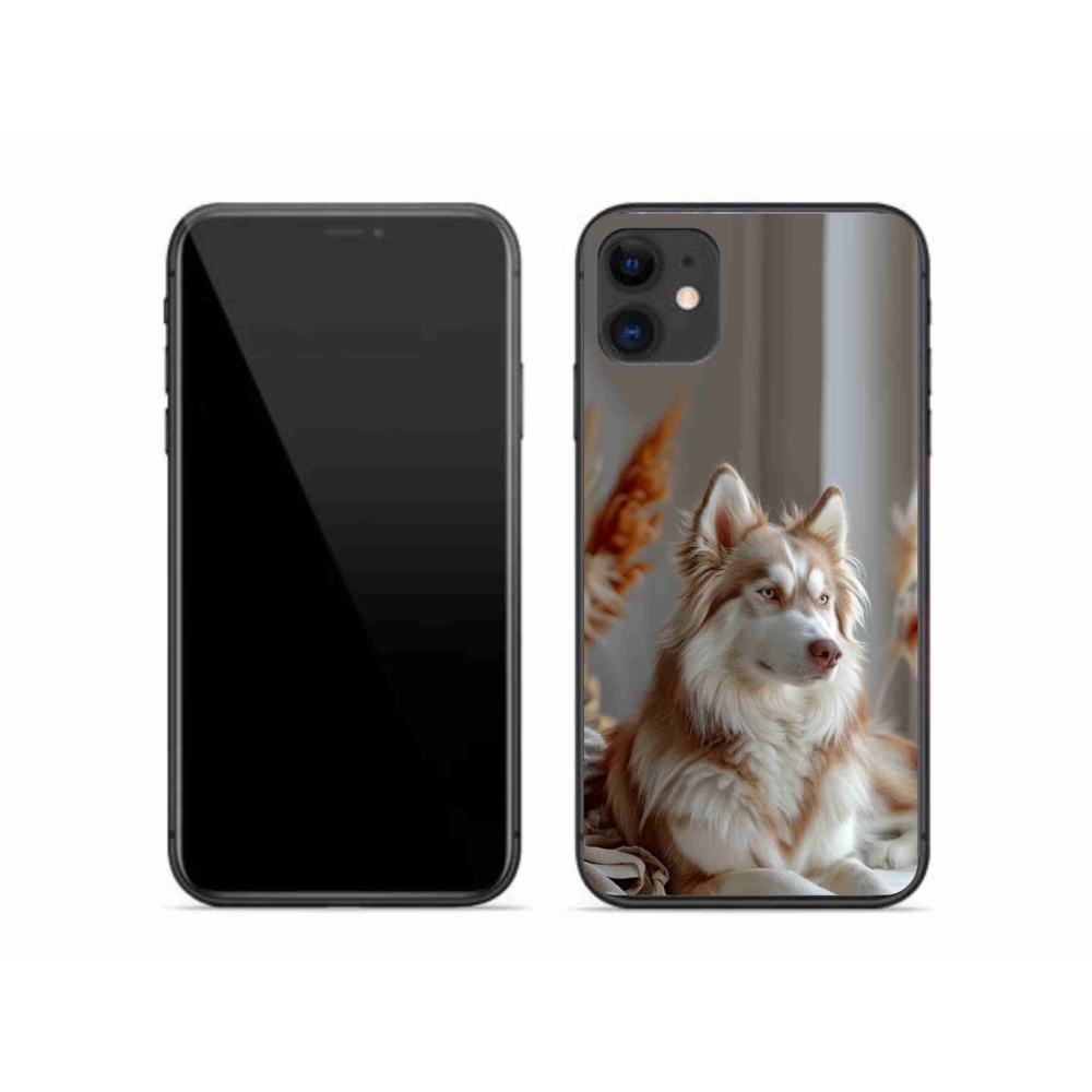 Gélový kryt mmCase na iPhone 11 - pokojný sibírsky husky
