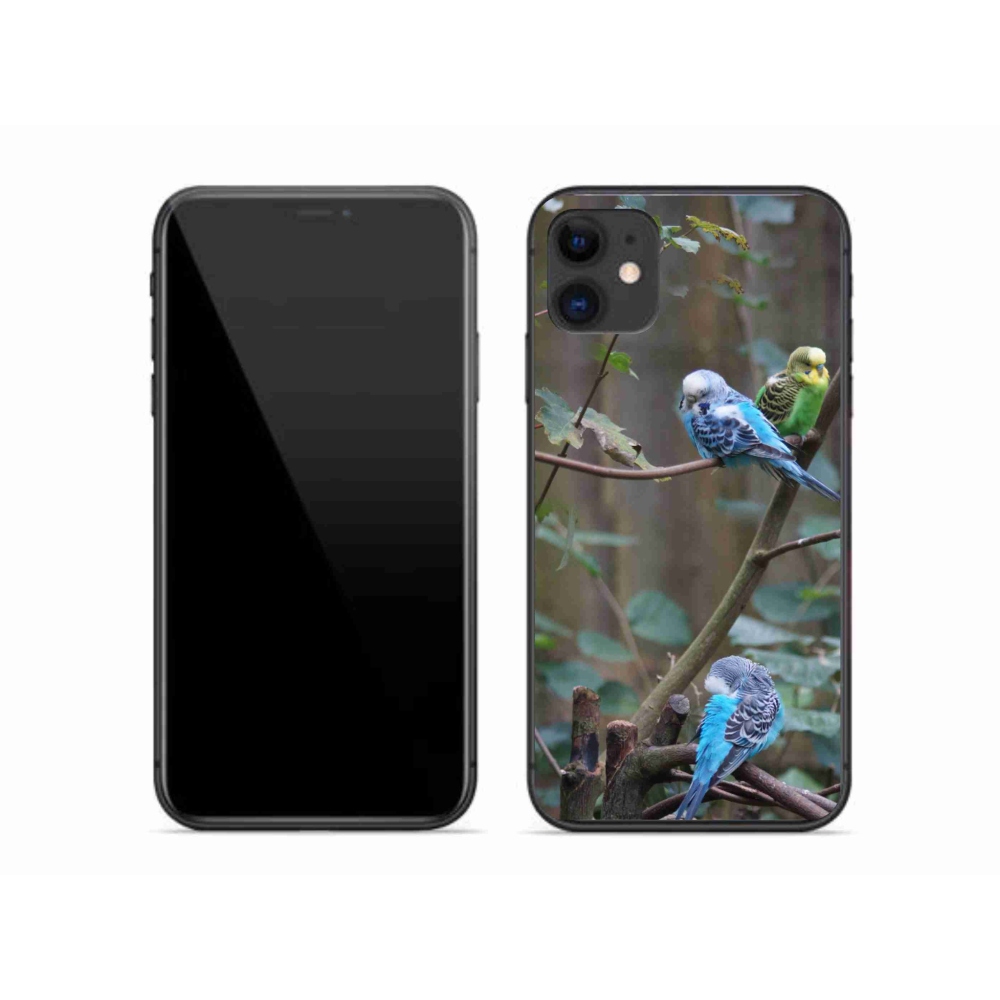 Gélový kryt mmCase na iPhone 11 - papagáje na vetve