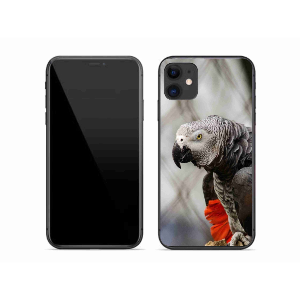 Gélový kryt mmCase na iPhone 11 - papagáj žako 3