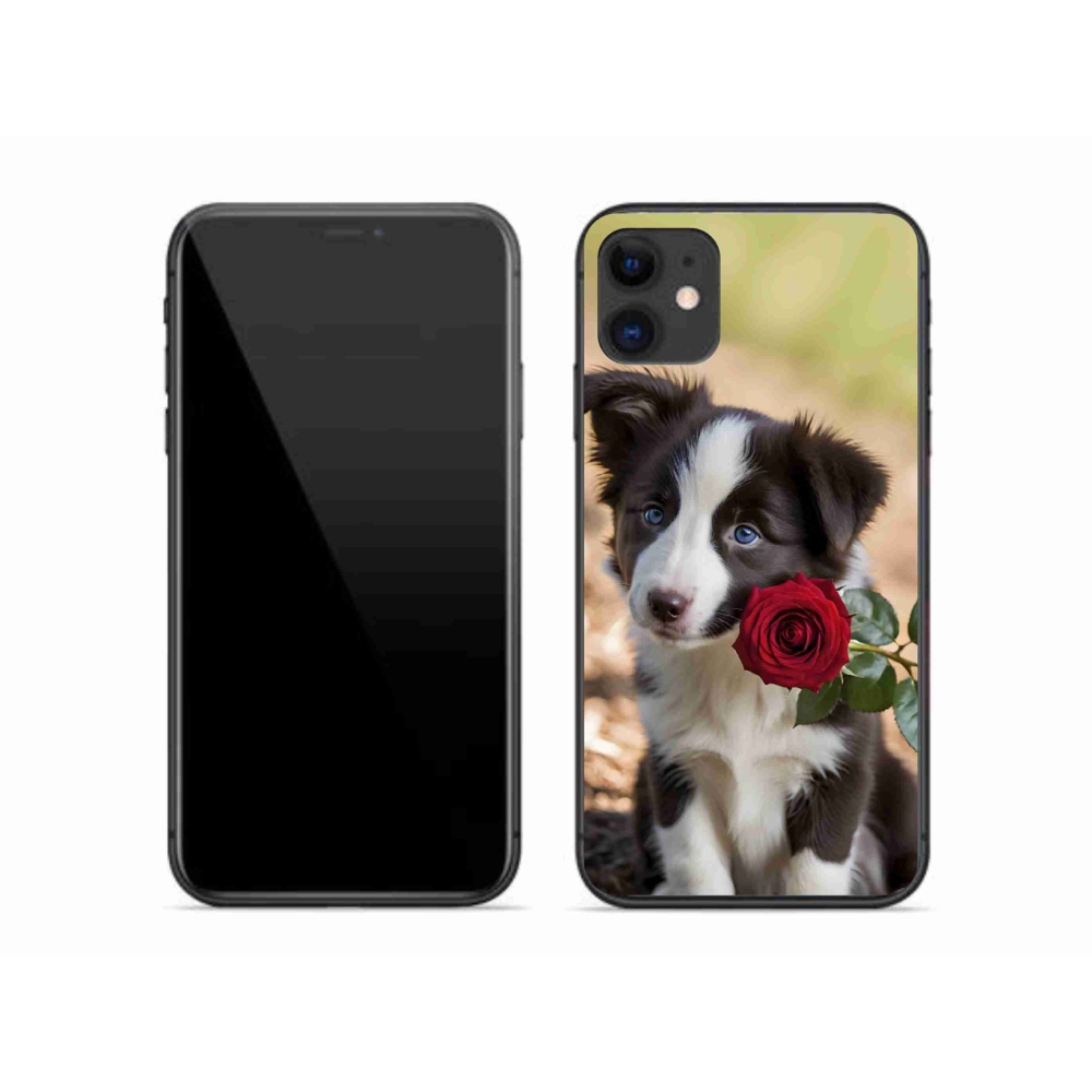 Gélový kryt mmCase na iPhone 11 - roztomilá border kólia s ružou