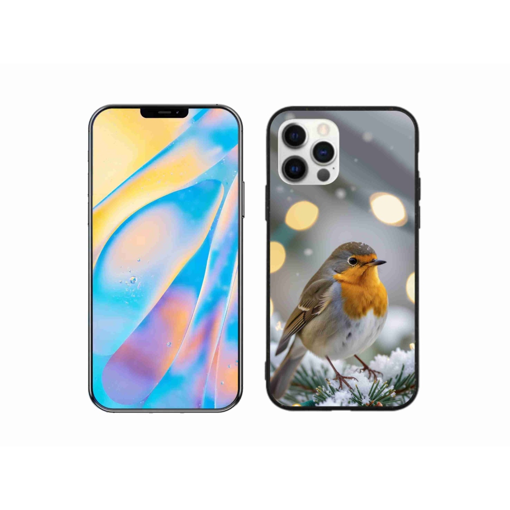 Gélový kryt mmCase na iPhone 12 - červienka v zime