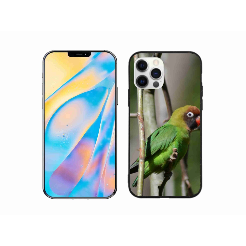 Gélový kryt mmCase na iPhone 12 - papagáj agapornis