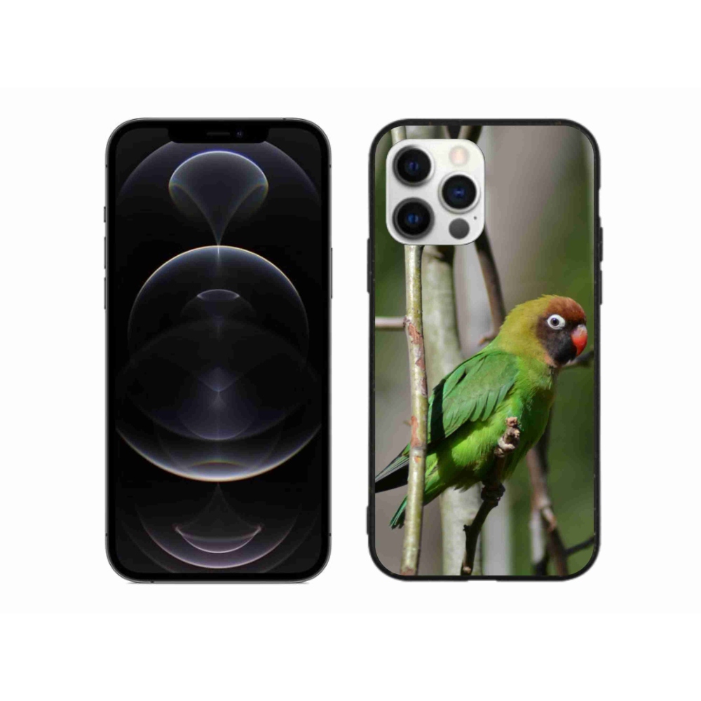Gélový kryt mmCase na iPhone 12 Pro Max - papagáj agapornis